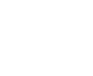 VCG Main Logo white